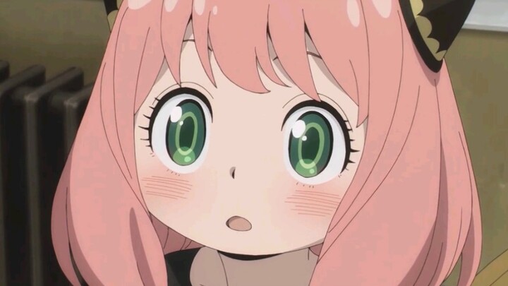 ดอกบานปลาย ว้าว คูล ว้าว คูล!