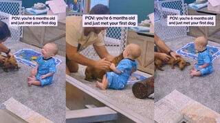 初次相见 不知道狗狗和宝宝谁更兴奋