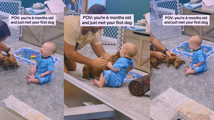 لأول مرة نلتقي، لا أعرف من الذي سيكون أكثر حماسًا بين الكلب والطفل