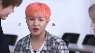 Panduan Belajar Bahasa Mandarin NCTDREAM