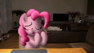 【My Little Pony/MLP】My Little Pony's Real Life 2