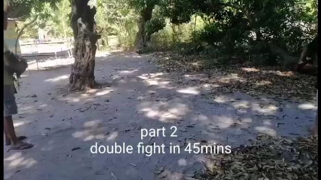 part 2 2*in one day