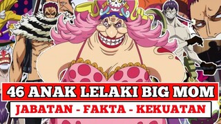 Fakta dan Kekuatan 46 Anak Lelaki Big Mom (INFOGRAFIS)