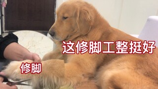 Kaki anjing itu gatal, jadi pemiliknya menggunakan keterampilan tersembunyinya!