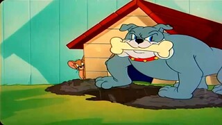 TOM & JERRY - THE FRAMED CAT