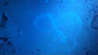 Wings Of he World Episode 01-08 Sub Indo