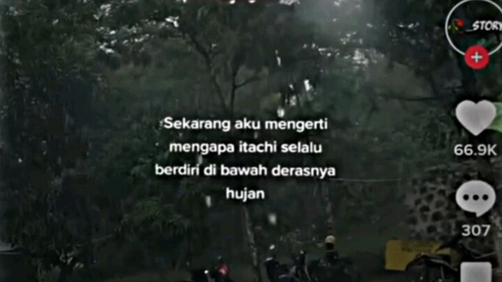 ada yang tau?