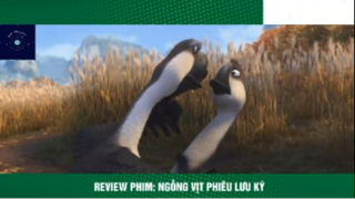 REVIEW PHIM : Ngỗng vịt phiêu lưu ký (p2) #rvphimhoathinh