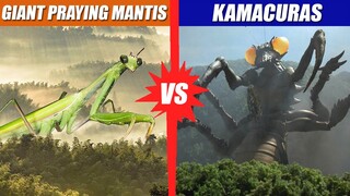 Giant Mantis vs Kamacuras | SPORE
