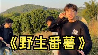 今天教大家一个小技能