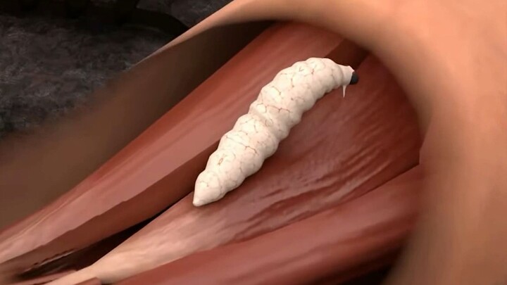They let insects hatch their eggs inside their bodies.
