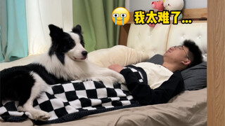 当养狗人累了想睡一下