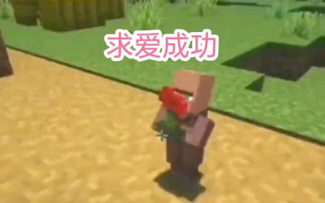 Minecraft: The girl villager said that she was careless and didn’t bring the magic mirror!