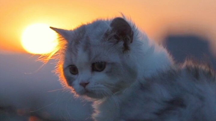 Today’s sunset is as gentle as you are.