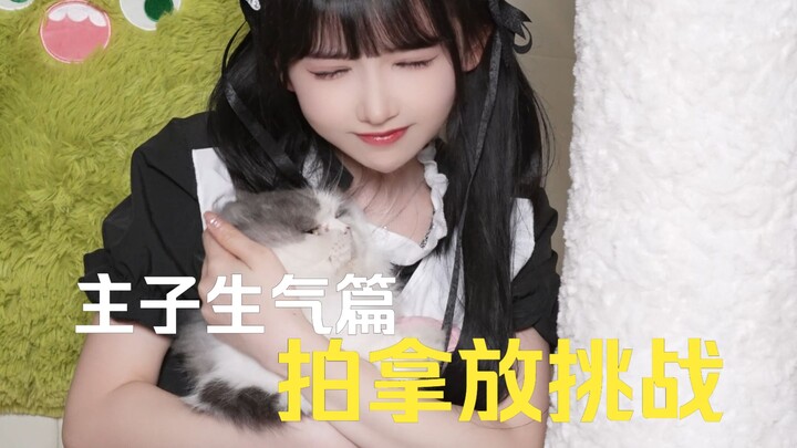 这可是我用20个罐罐换来的主子配合拍摄