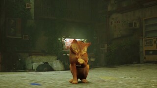 เกมผจญภัยแมวมุมมองบุคคลที่สาม "Stray" เปิดตัวตัวอย่างใหม่และจะวางจำหน่ายในวันที่ 19 กรกฎาคม