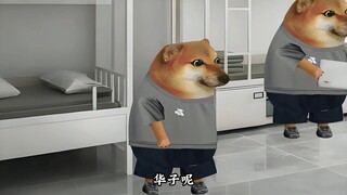 队友留队你不留
