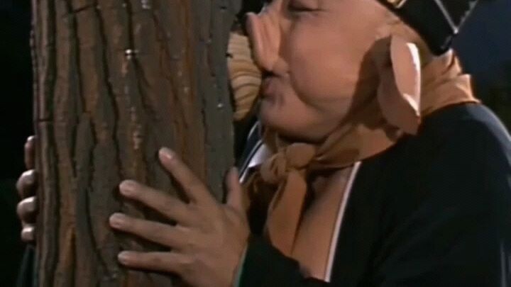 搞笑视频