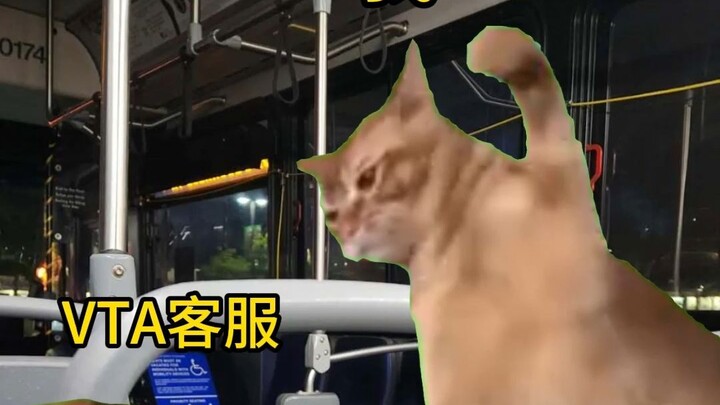 【Meme kucing】Tahun pertama kuliah di Amerika