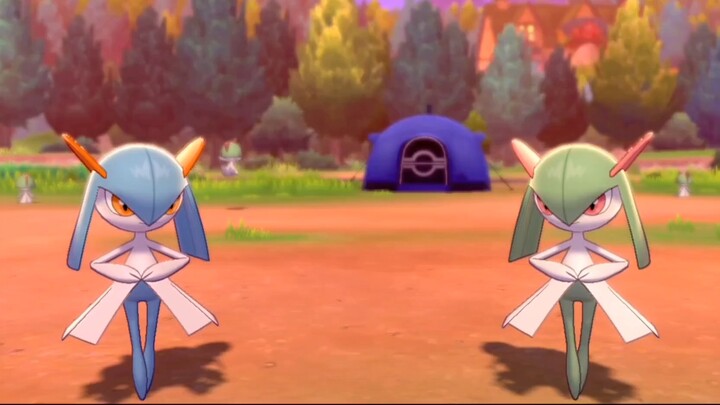 [ Pokémon ] Peeking at Mei Shao? Bottoms - Glitter Shanaido!