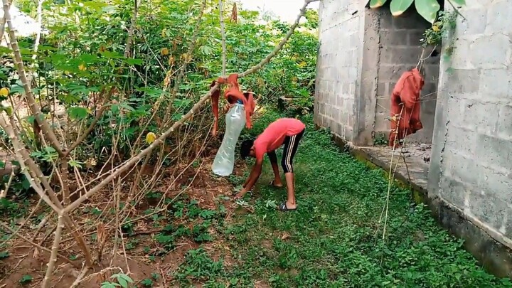 me i no de do gra gra - comics comedy