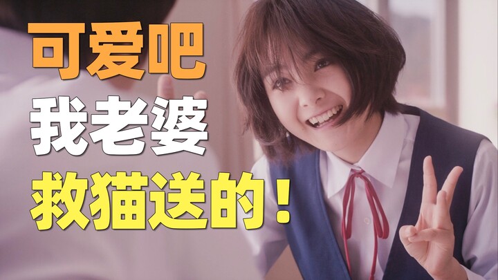 Why do I suggest you save a cat? Because of this movie... "Her in the Sunny Place" by Juri Ueno