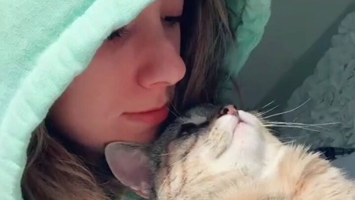 Kiss your pet and see how they react