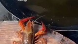 Lobster nya tuh gk salahh!! yang salah minyaknya 😩