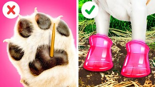 เคล็ดลับสำหรับคนเลี้ยงสัตว์ || ของเล่น DIY และอุปกรณ์ที่มีประโยชน์! เคล็ดลับน่ารักโดย 123 GO! TRENDS