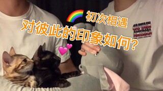 漫画里的cp｜【初识】始于颜值。__口区。