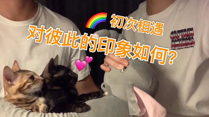 漫画里的cp｜【初识】始于颜值。__口区。