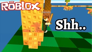 Camouflage Trolling | Roblox Skywars