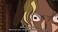 Sabo lebih takut ke koala😅