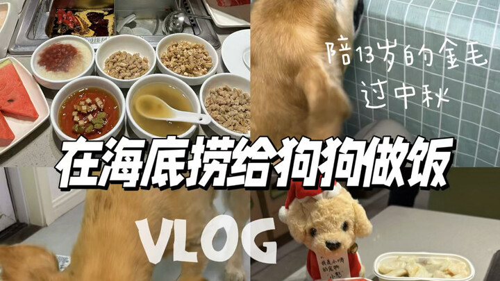 狗狗我啊，有生之年也吃上海底捞了。每次我都觉得，不管是给狗狗吃打包的火锅呀还是月饼呀，它都可以闻到“原来今天主人去了这些地方呀”。