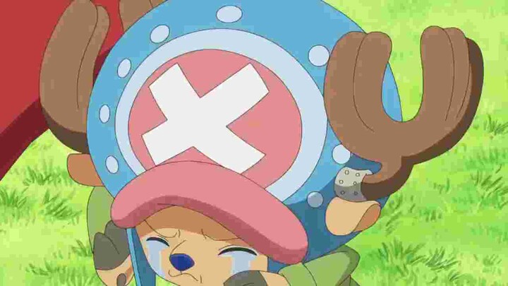 Luffy, chopper and sanji funny moments