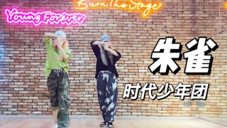 【时代少年团】争做全网第一《朱雀》速翻（含慢速教程）|孙子团的女人绝不认输！