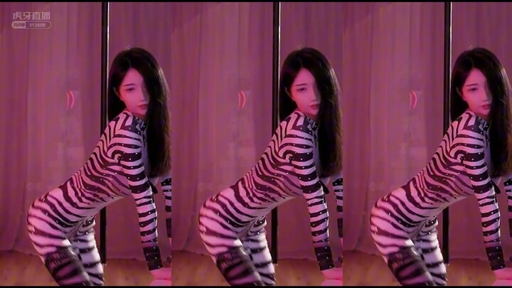 【ฮว่ายคงคง】ม้าลาย รุ่นที่สอง_