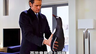 一口气看完喜剧《波普先生的企鹅》