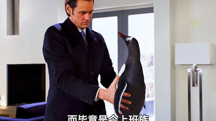 一口气看完喜剧《波普先生的企鹅》