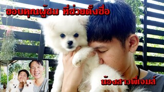 รีวิวน้องหมา20นิ้ว หนูมีชื่อแล้วค่ะ สมาชิกใหม่ช่องคุณพ่อจอย