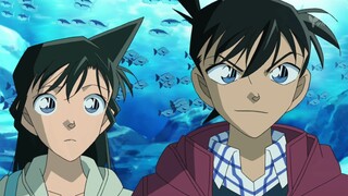 [Martin] Keluhan resmi adalah yang paling mematikan. Xiaolan bertanya pada Shinichi, bagaimana kamu 