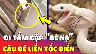 Đi tắm thì phát hiện BÉ NA, cậu bé liền TỐC BIẾN vì lỡ một nhịp thôi thì rất dễ ĐĂNG SUẤT 😂 Gâu Đần