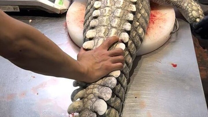ขอนำเสนอเนื้อจระเข้สดแท้ให้ทุกคนได้ดูกัน