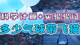 [Shuishui Laws] Real cat test | Revealing how many balloons it takes to make a cat fly into the sky,