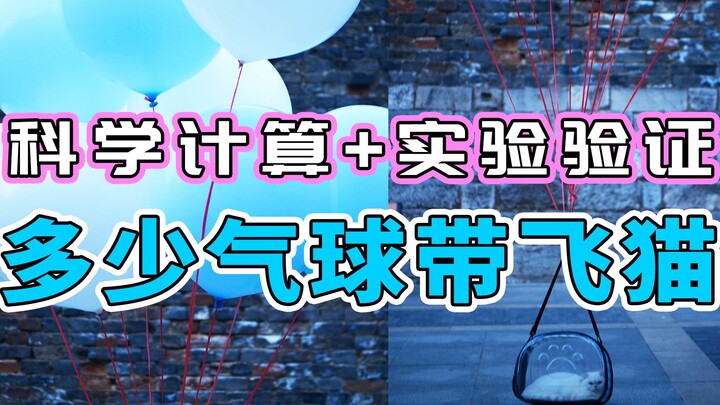 【水水劳斯】真猫实测|揭秘多少个气球能把猫咪带飞上天，科学计算+实测实验验证