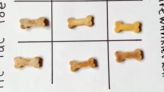 Did you guess the winner? dogchallenge tiktokdogs tictactoe