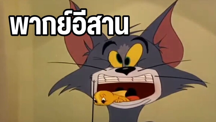 ทอมแอนด์เจอร์รี่ พากย์อีสาน ปลาทอง ตอนเต็ม