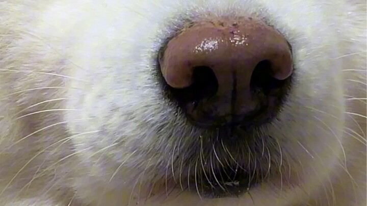 هل علاقتنا بخير؟