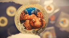 Новый магазин монет в Зальцбурге Австрия и пополнение новых монет в коллекцию!!