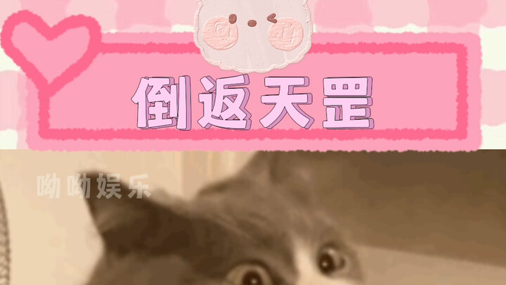 My ship can’t be reversed!